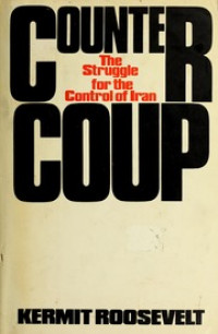 Countercoup : The struggle for the control